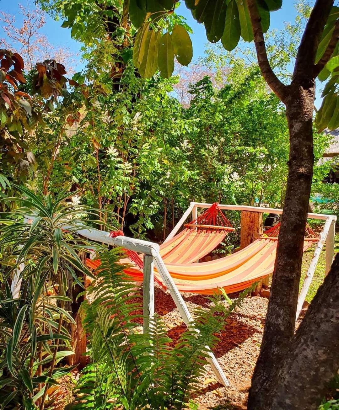 Victoria Falls Backpackers Lodge- Camp Sites ภายนอก รูปภาพ